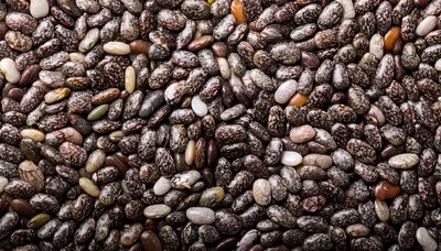 Macro Close Up Of Organic Chia Seeds