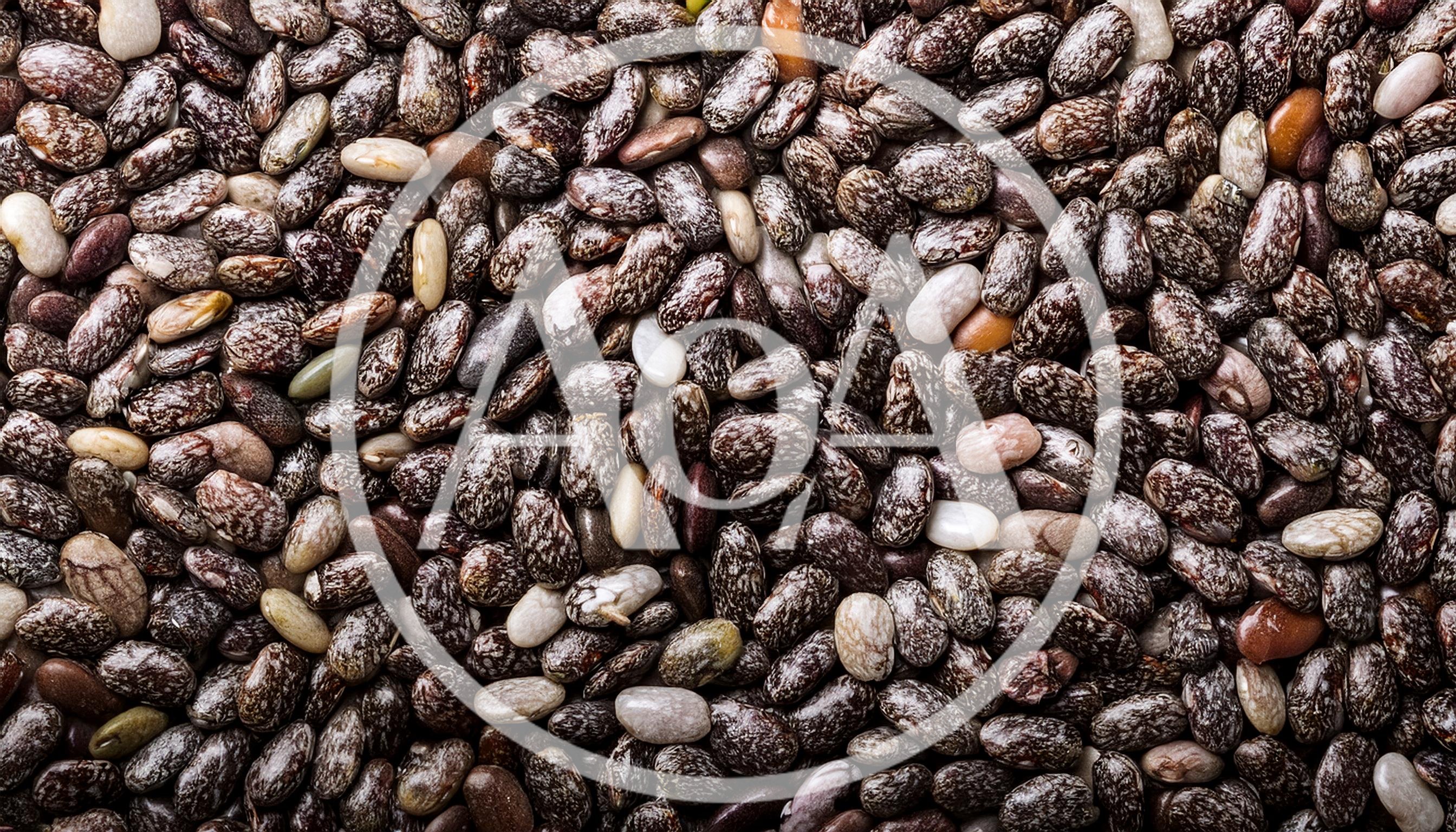 Macro Close Up Of Organic Chia Seeds