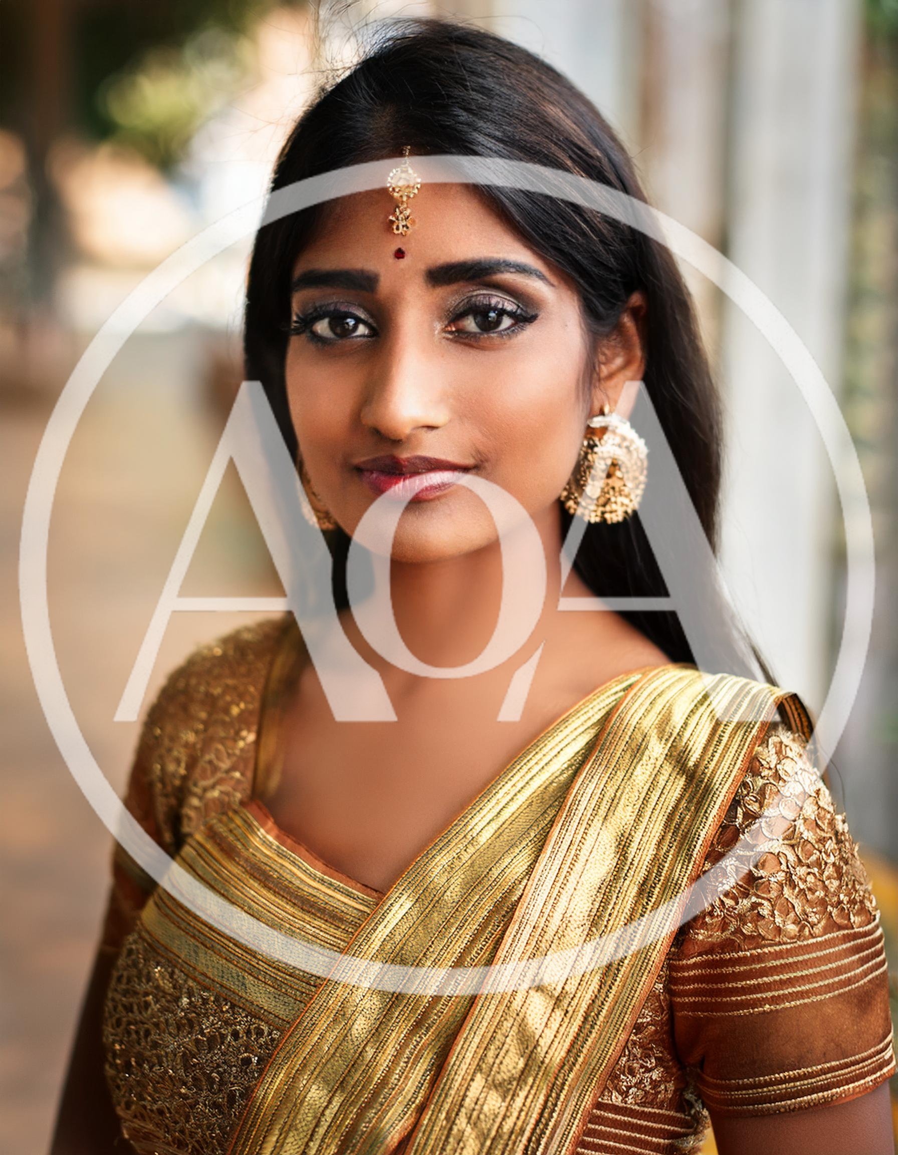 Portrait Of A Beautiful Indian Woman In Traditional Attire