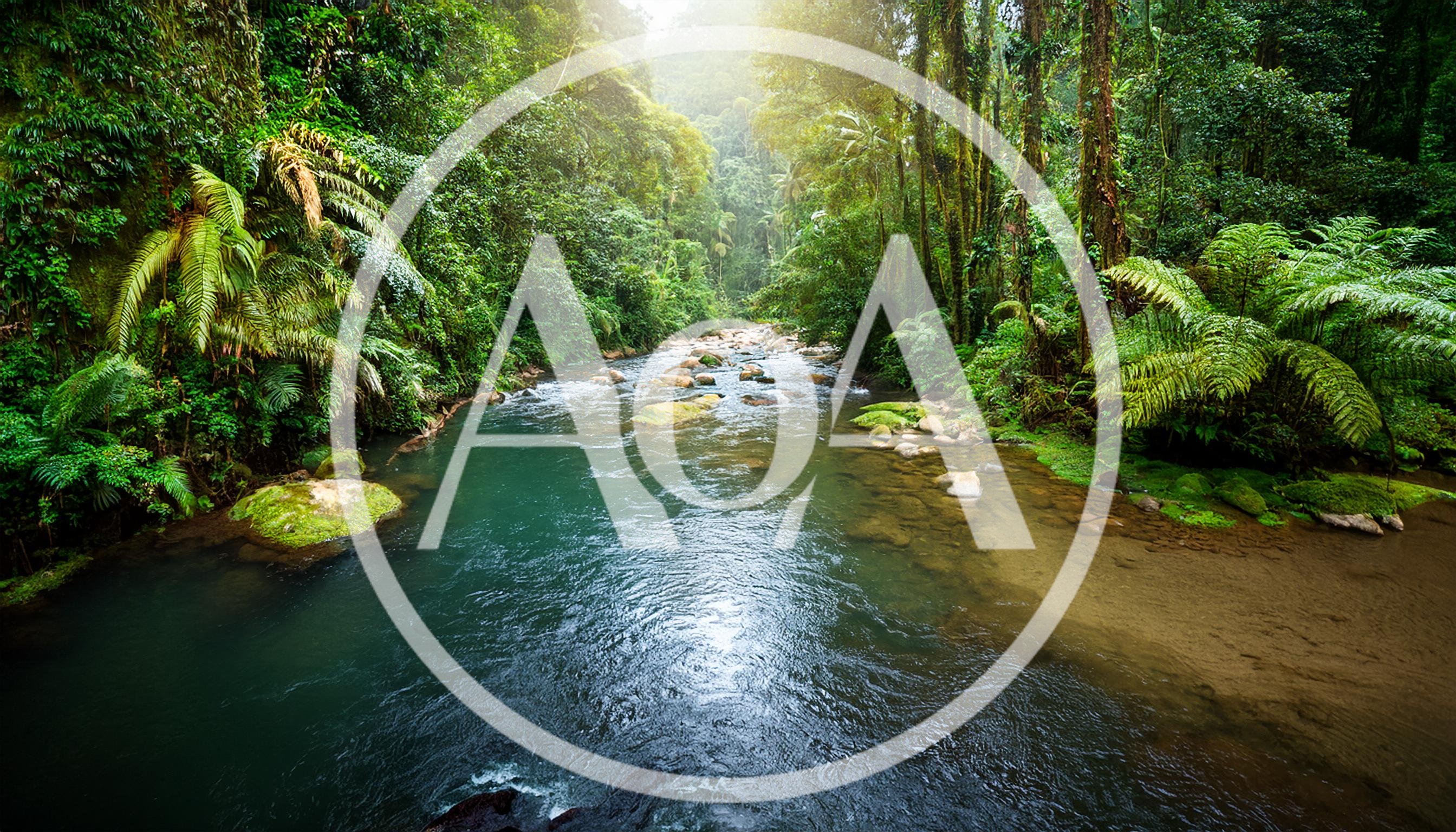Tropical Rainforest River Flowing Through Lush Green Jungle
