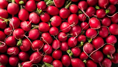 Fresh Red Radishes Background Texture