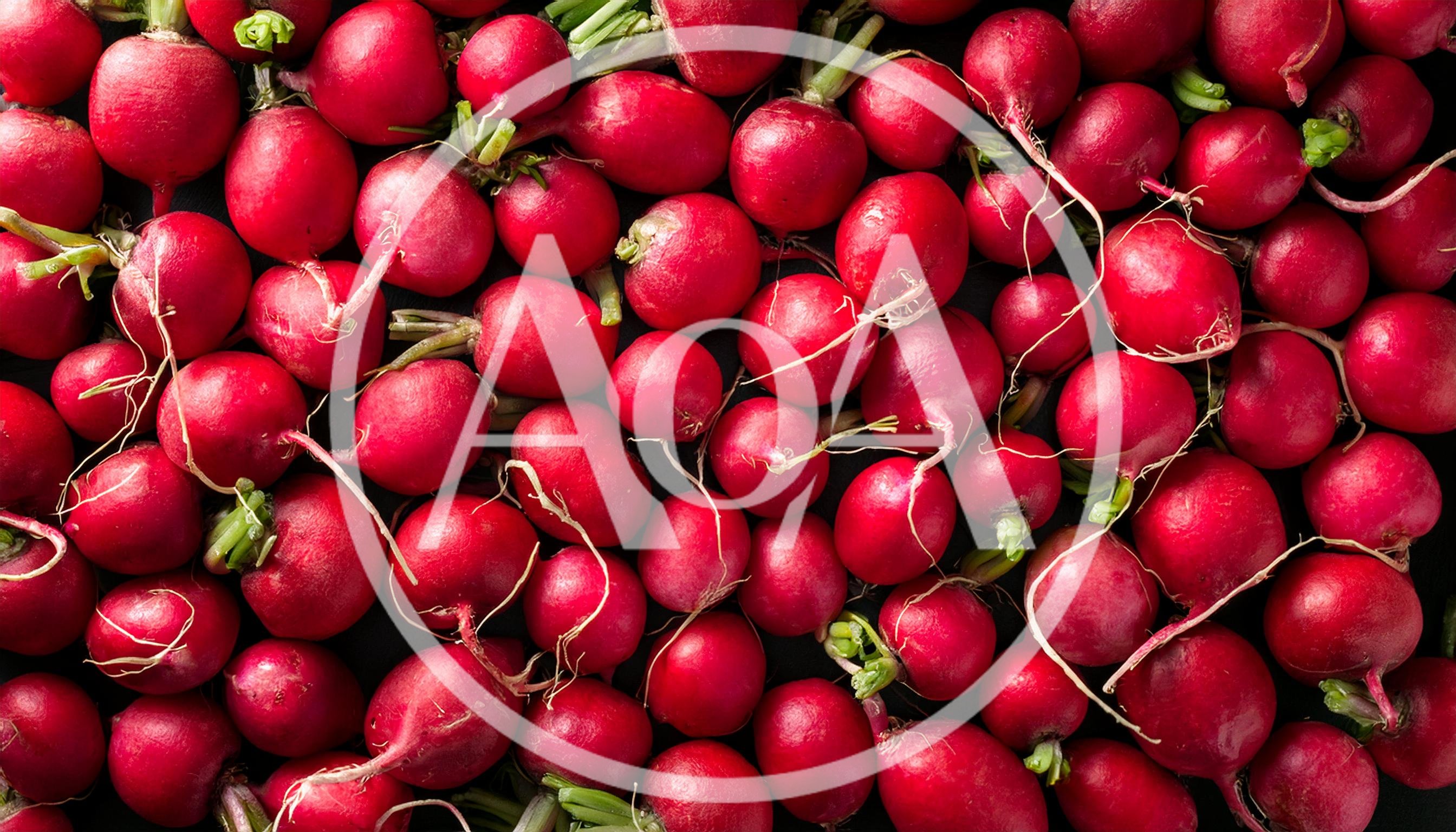 Fresh Red Radishes Background Texture