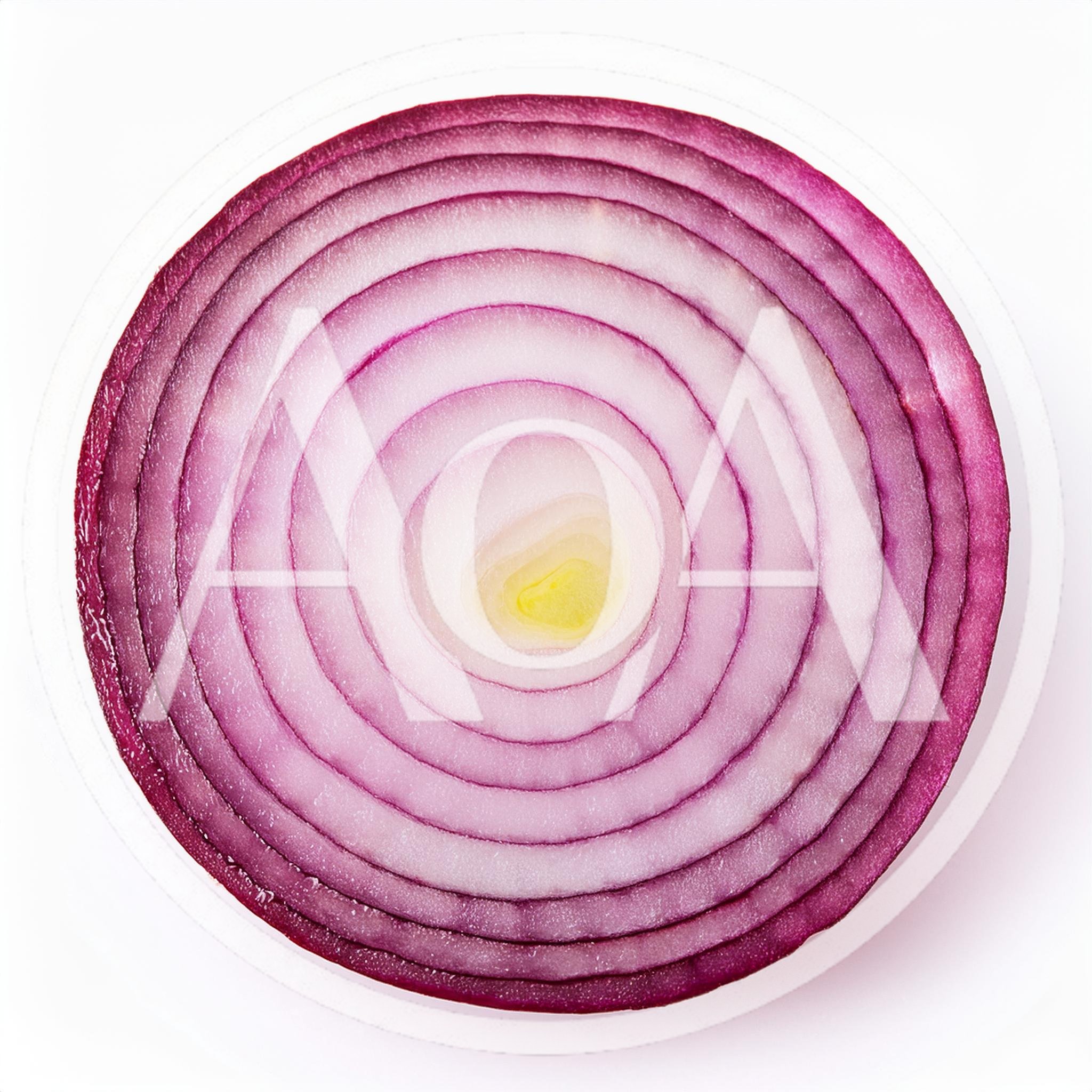 Cross Section Of A Fresh Red Onion