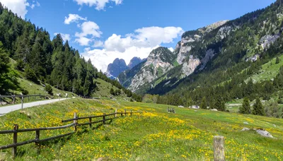 Scenic Alpine Meadow With Yellow Flowers And Mountain Peaks
