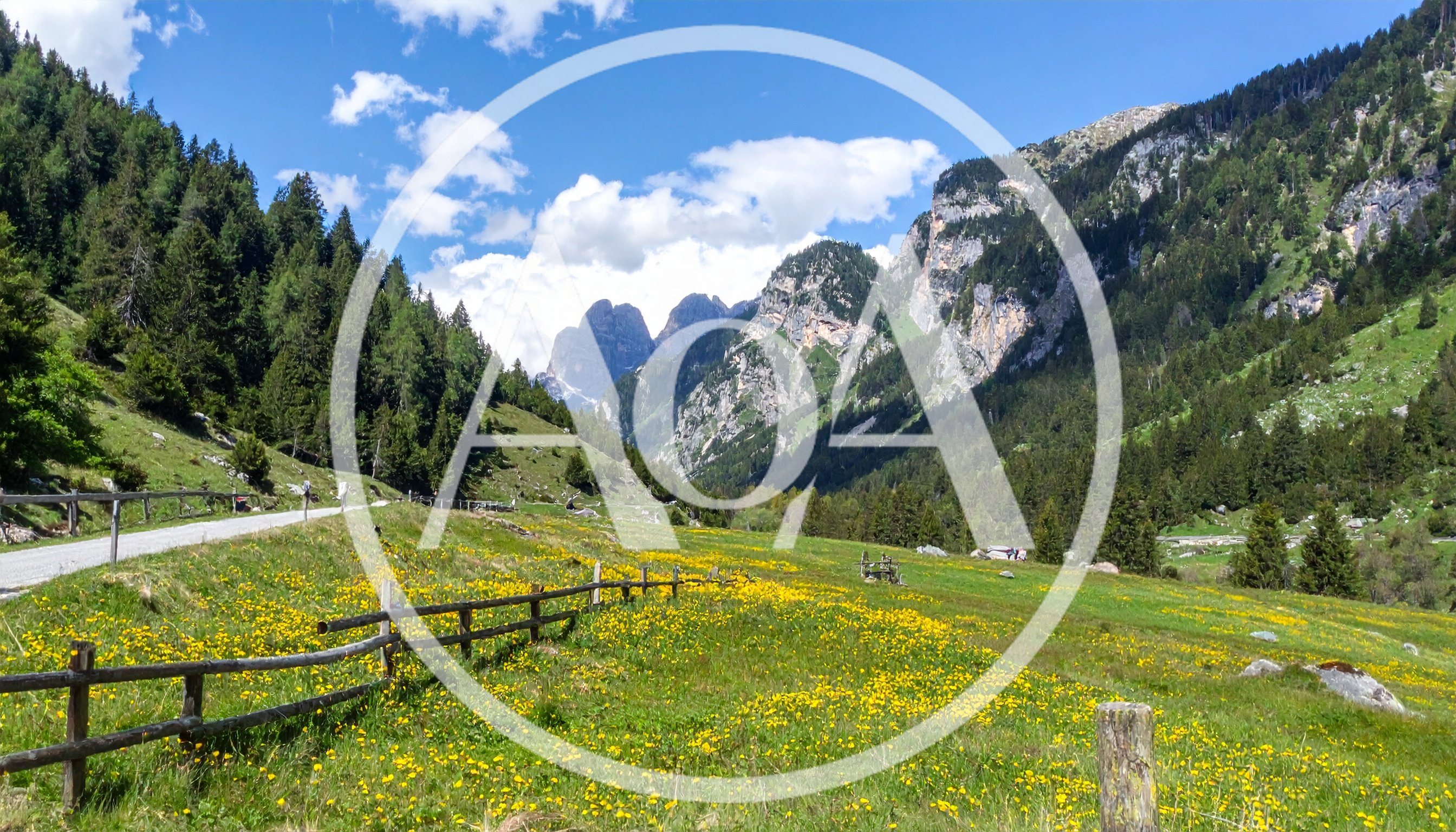 Scenic Alpine Meadow With Yellow Flowers And Mountain Peaks