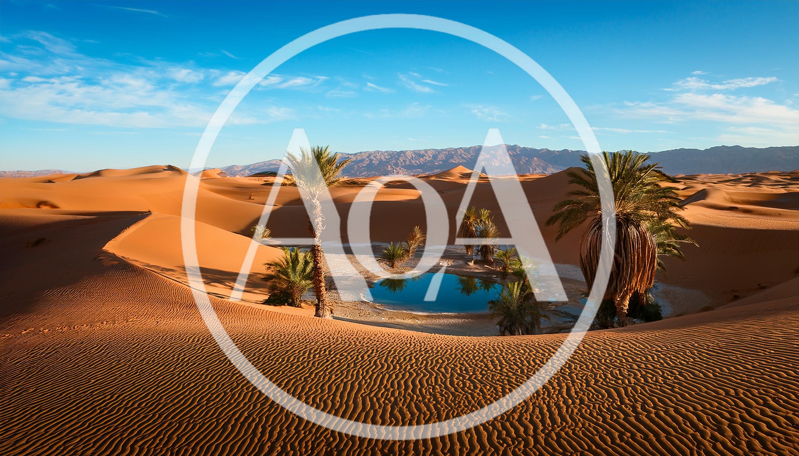 Oasis With Palm Trees In The Sahara Desert