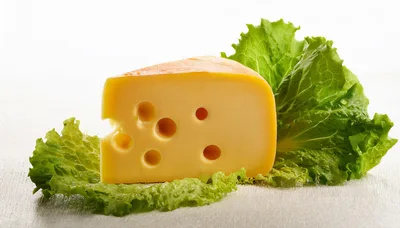 Wedge Of Swiss Cheese On Fresh Green Lettuce Leaves