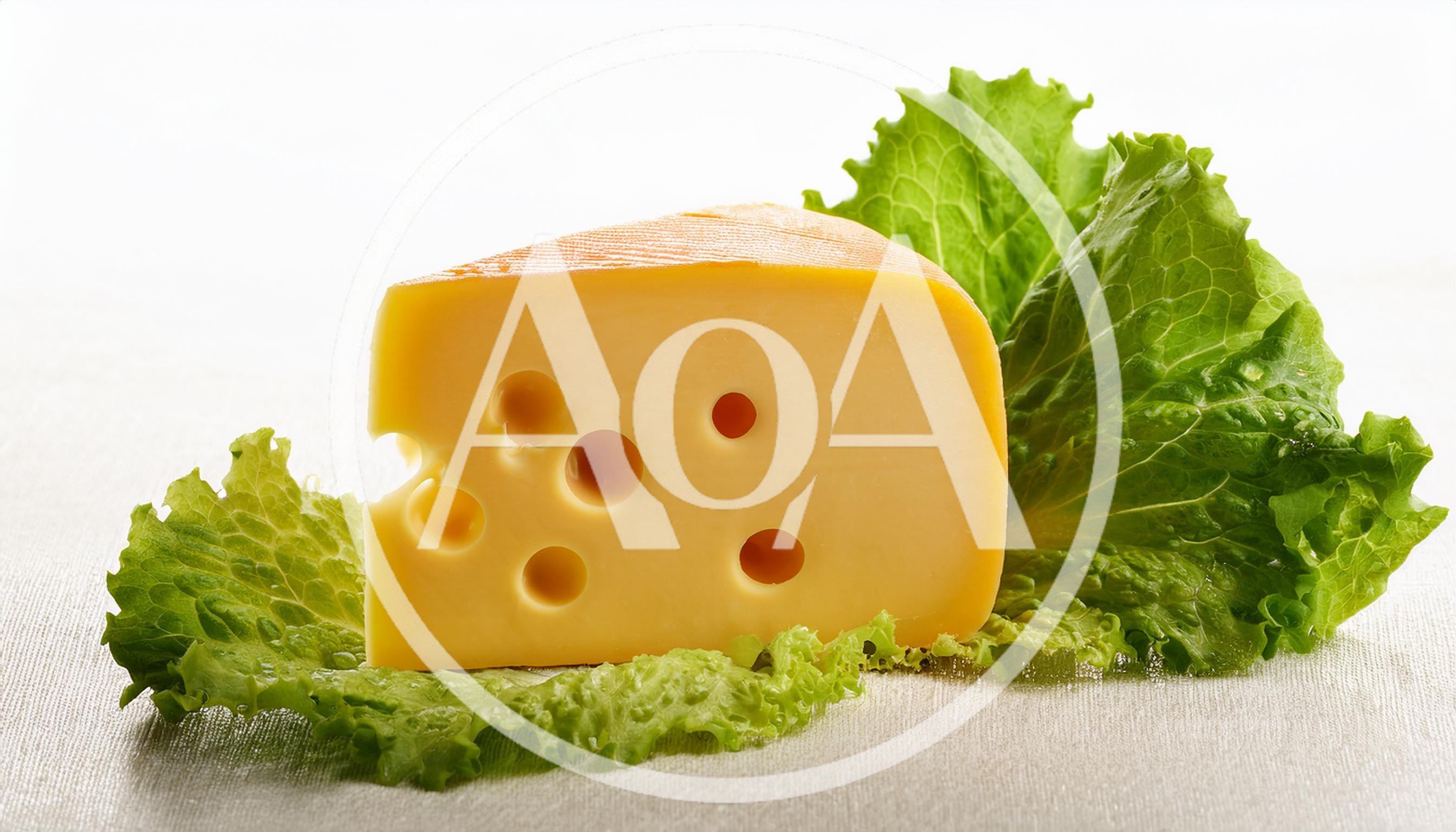 Wedge Of Swiss Cheese On Fresh Green Lettuce Leaves