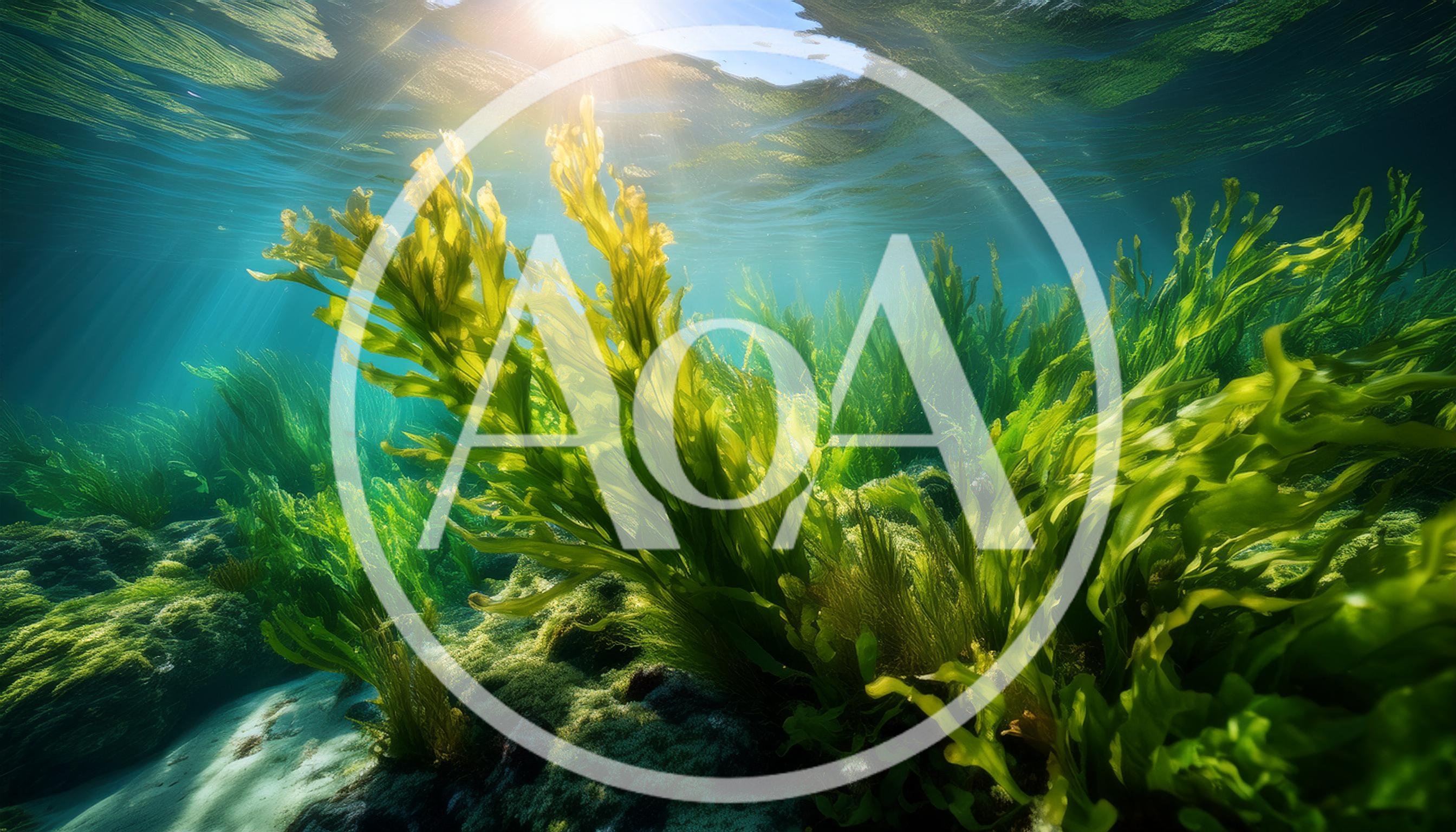Vibrant Green Seaweed Swaying Underwater In Sunlight