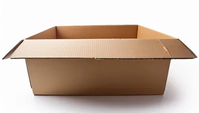 Open Empty Cardboard Box on White Background