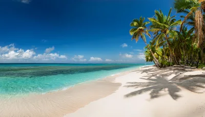 Panoramic View Of Tropical Beach With Palm Trees