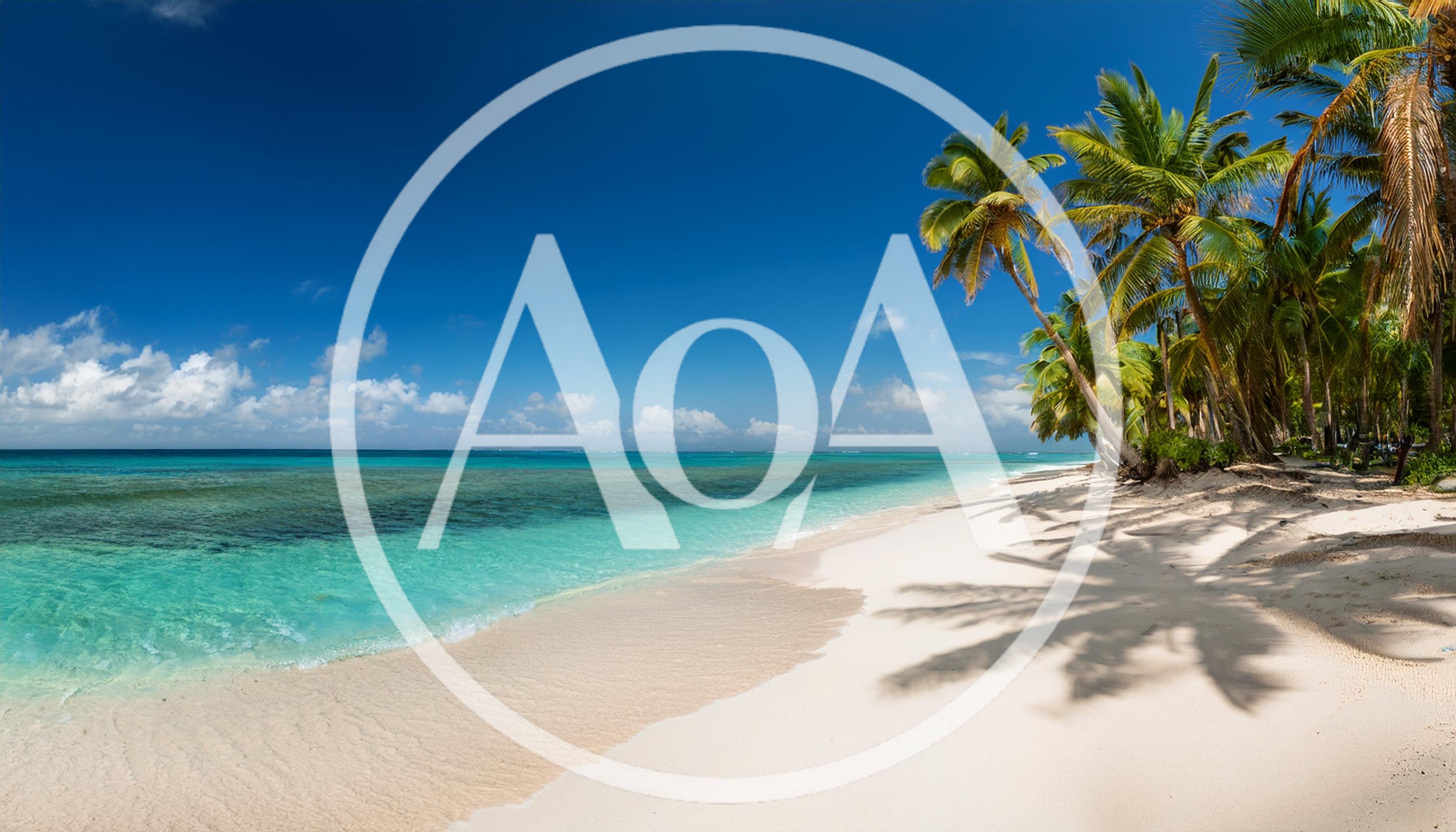 Panoramic View Of Tropical Beach With Palm Trees