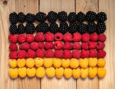 German Flag Made Of Fresh Raspberries And Blackberries