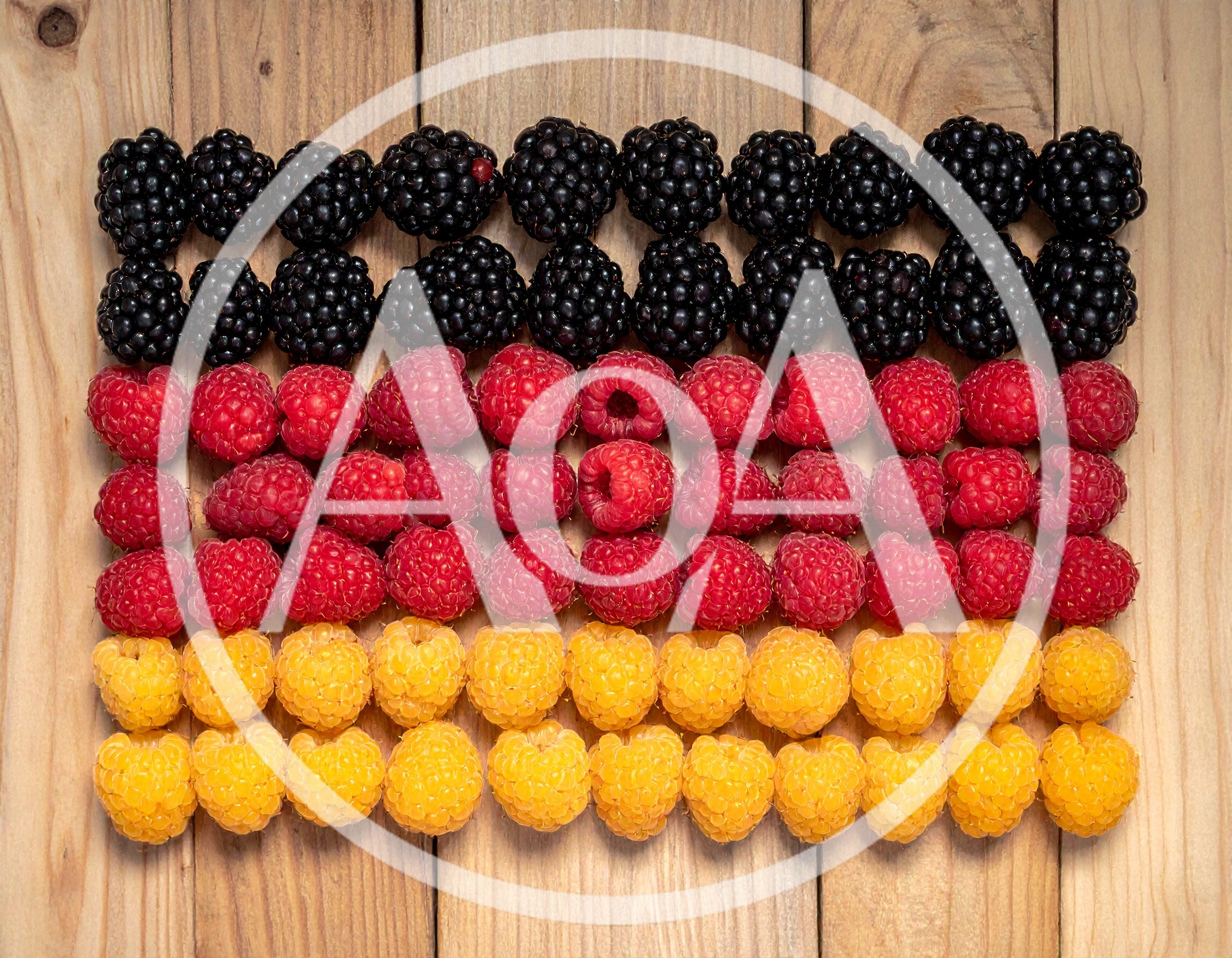 German Flag Made Of Fresh Raspberries And Blackberries