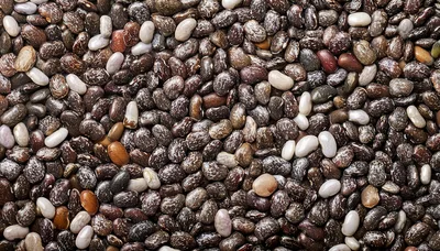 Macro Close Up Of Raw Organic Chia Seeds