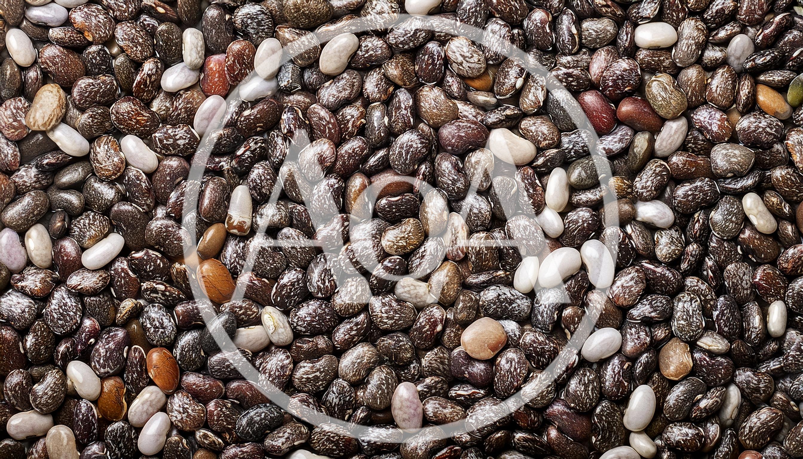 Macro Close Up Of Raw Organic Chia Seeds