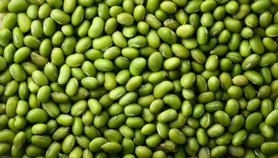 Top Down View Of Fresh Green Edamame Soybeans