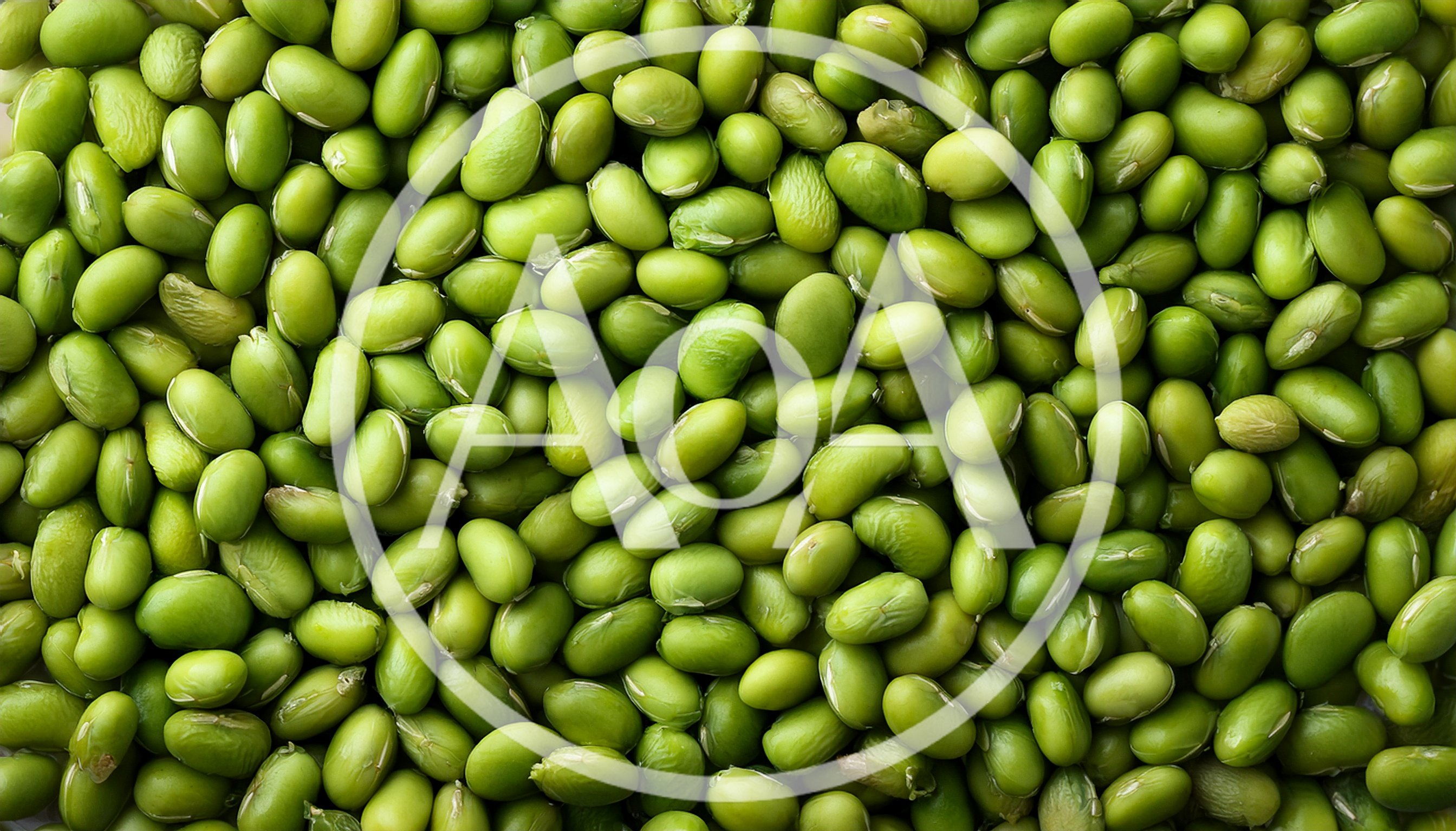 Top Down View Of Fresh Green Edamame Soybeans