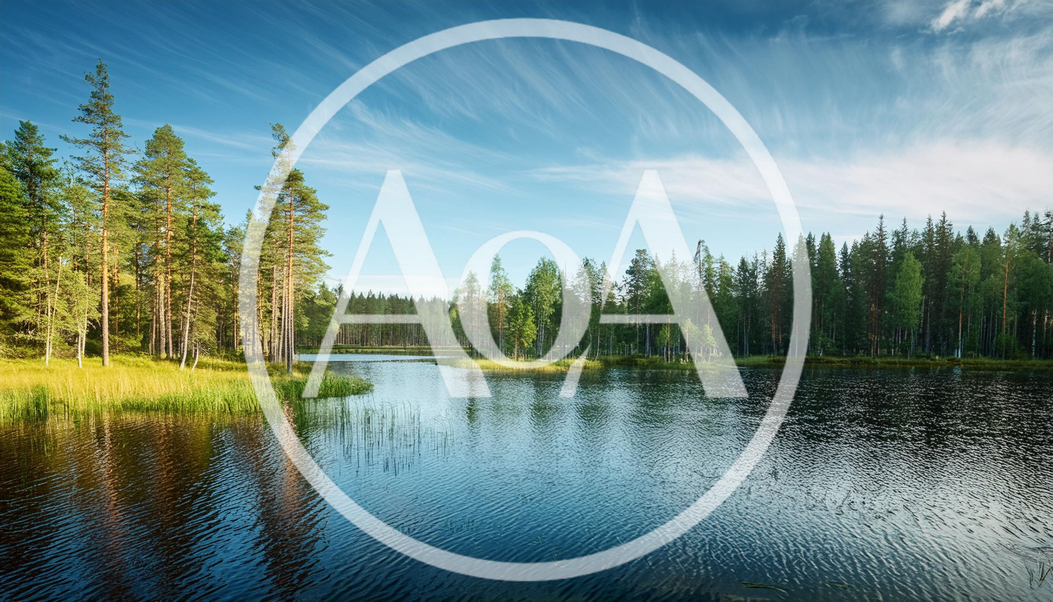 Serene Forest Lake With Pine Trees And Blue Sky