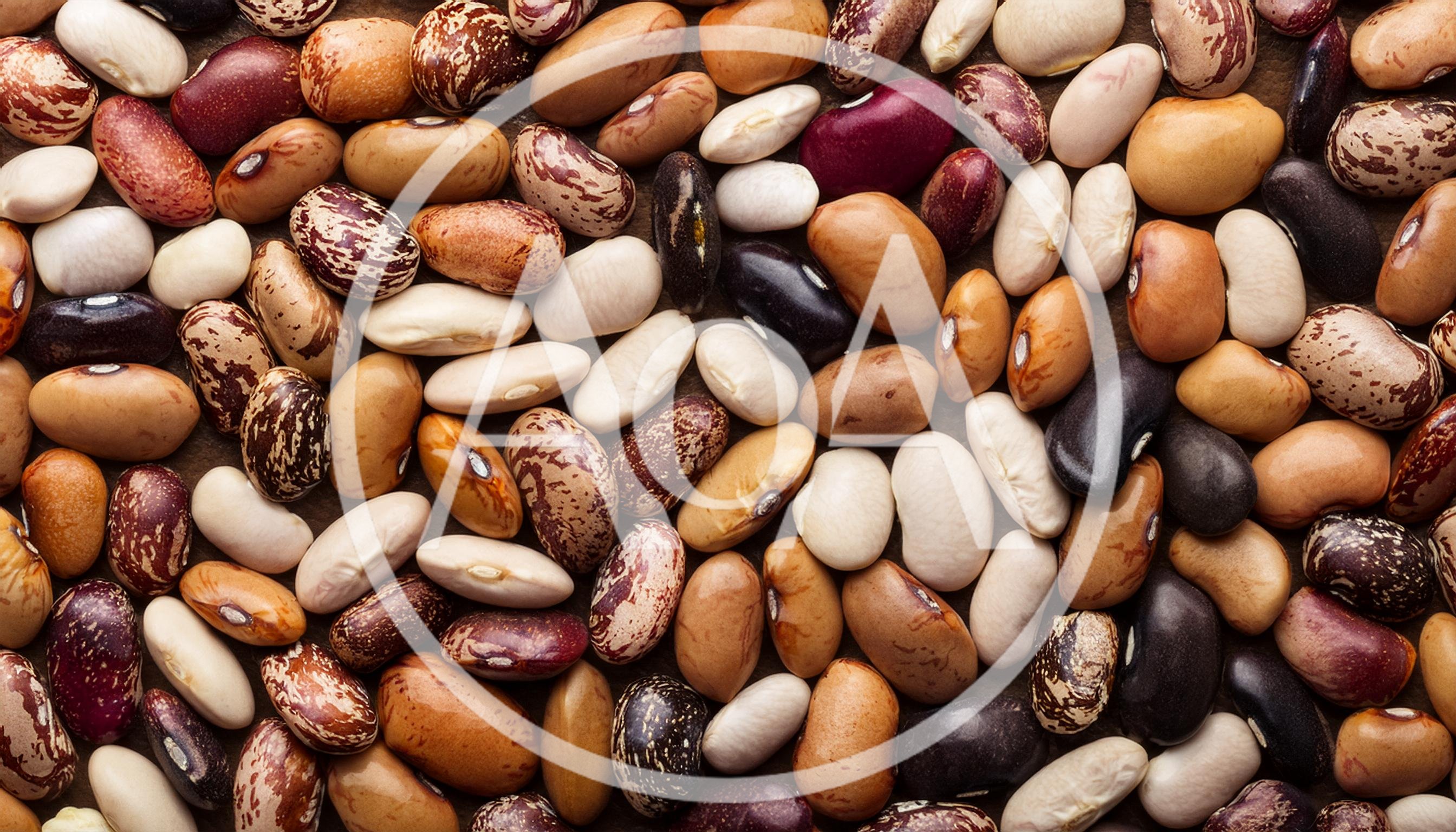Assorted Dried Beans and Legumes Background