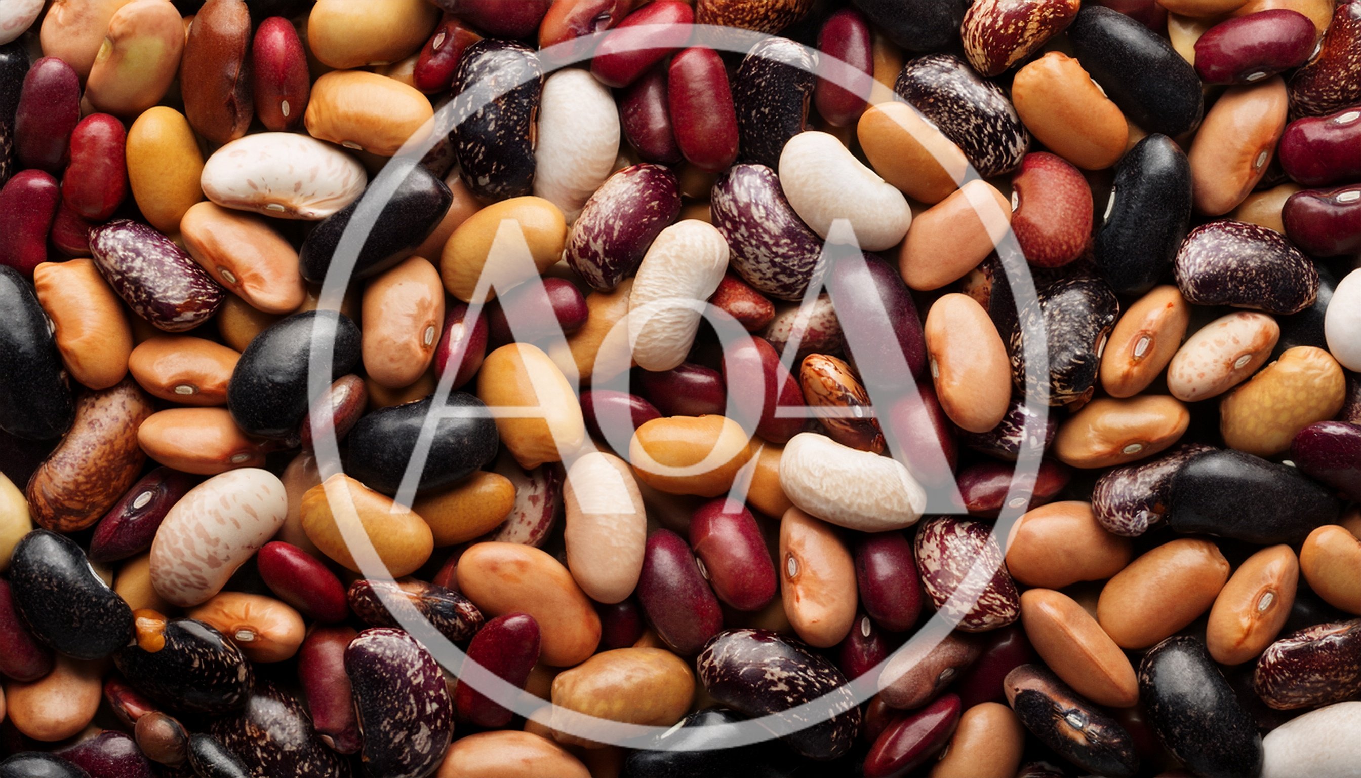 Assorted Dried Beans and Legumes Background