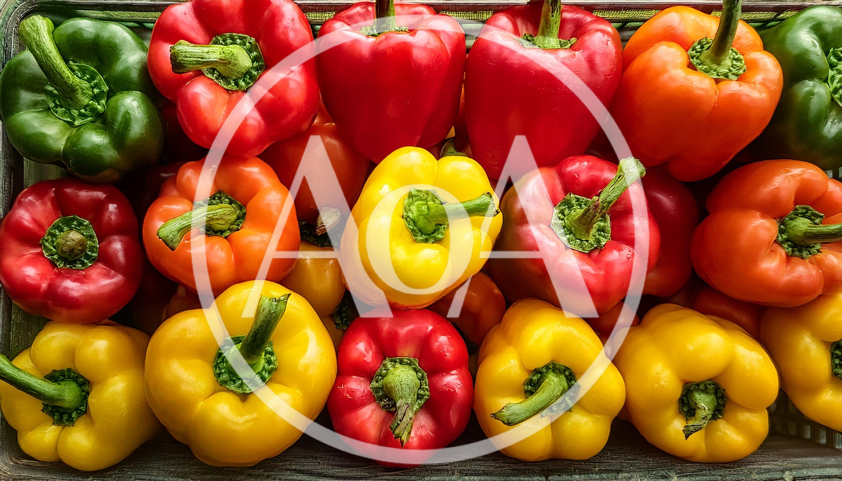 Fresh Colorful Bell Peppers In A Wooden Crate