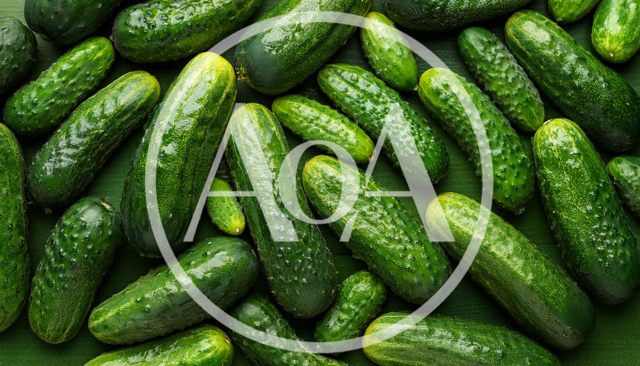 Fresh Green Cucumbers Arranged On A Dark Background