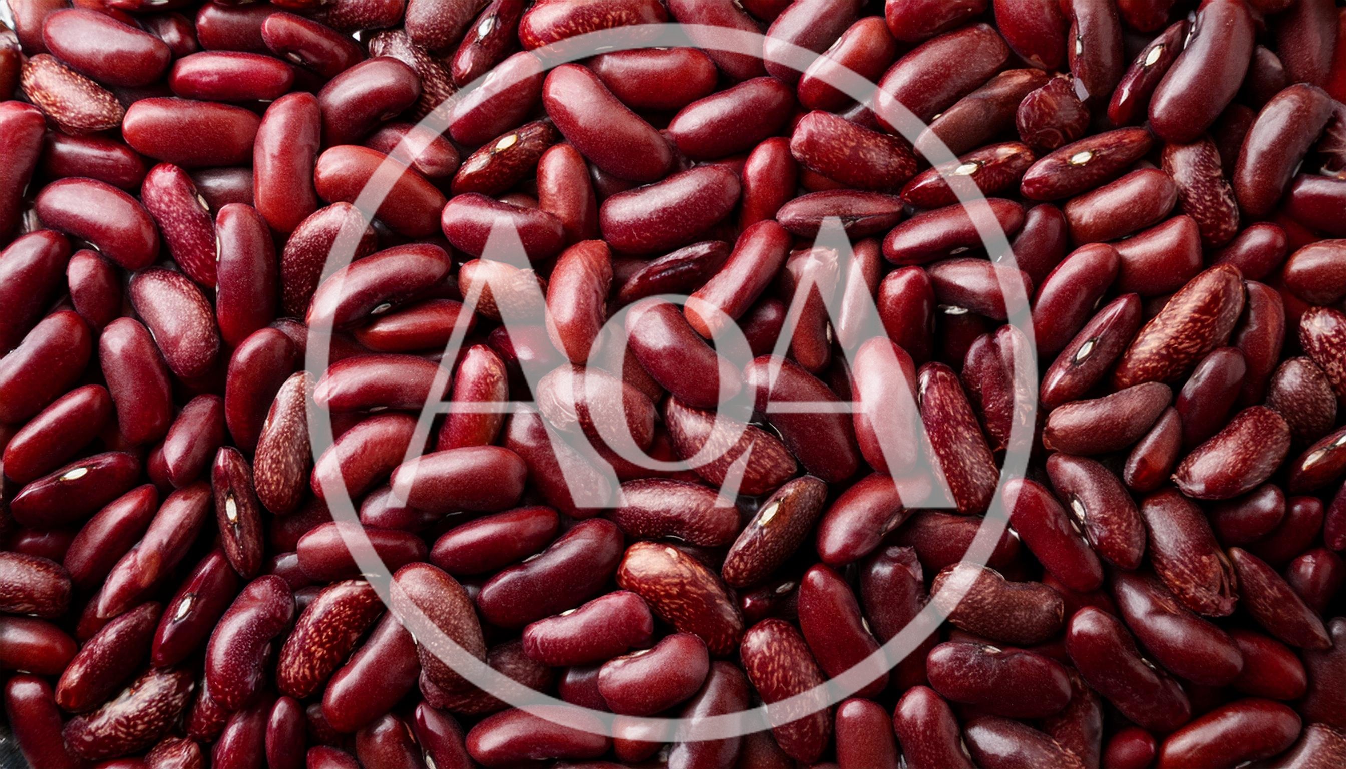 Top View Of Raw Red Kidney Beans Background