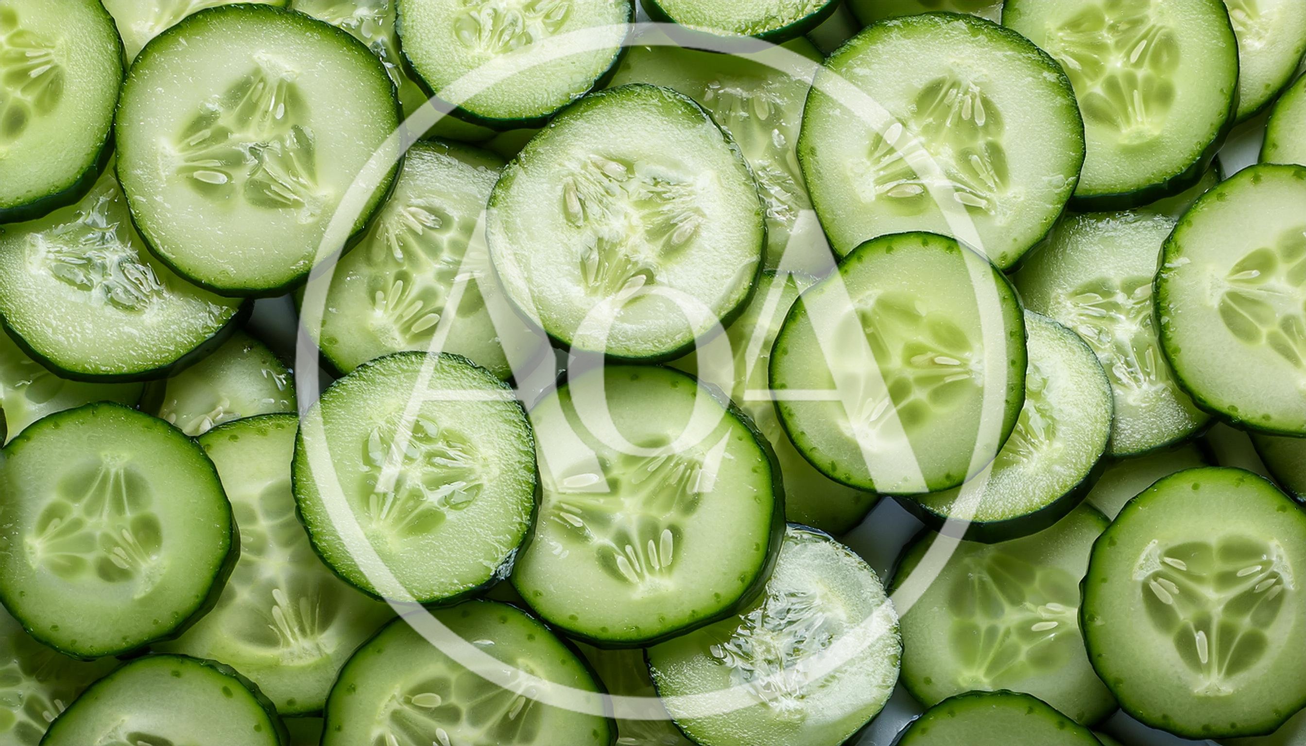 Fresh Sliced Cucumber Rounds Background