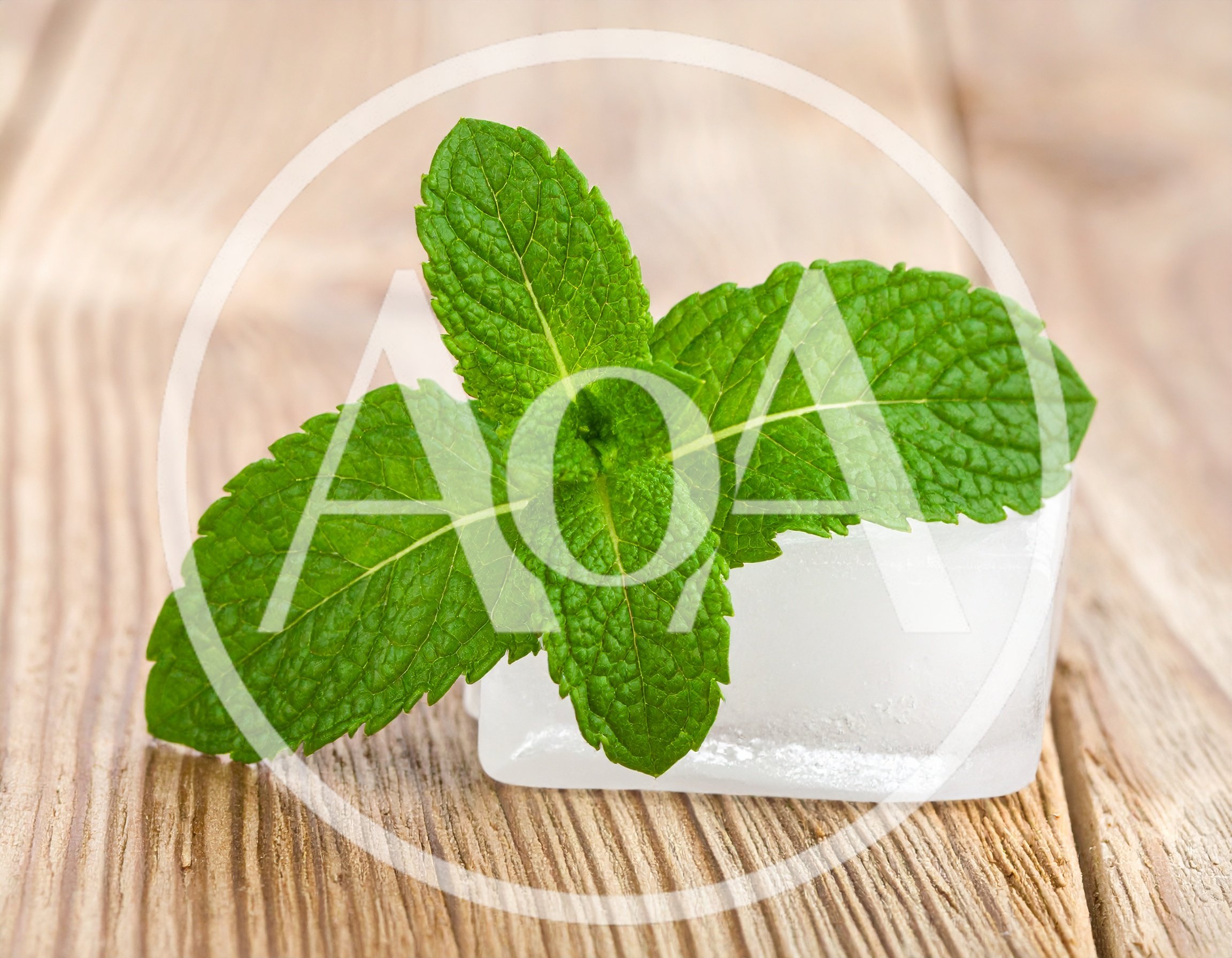 Fresh Mint Leaves Resting On A Single Ice Cube