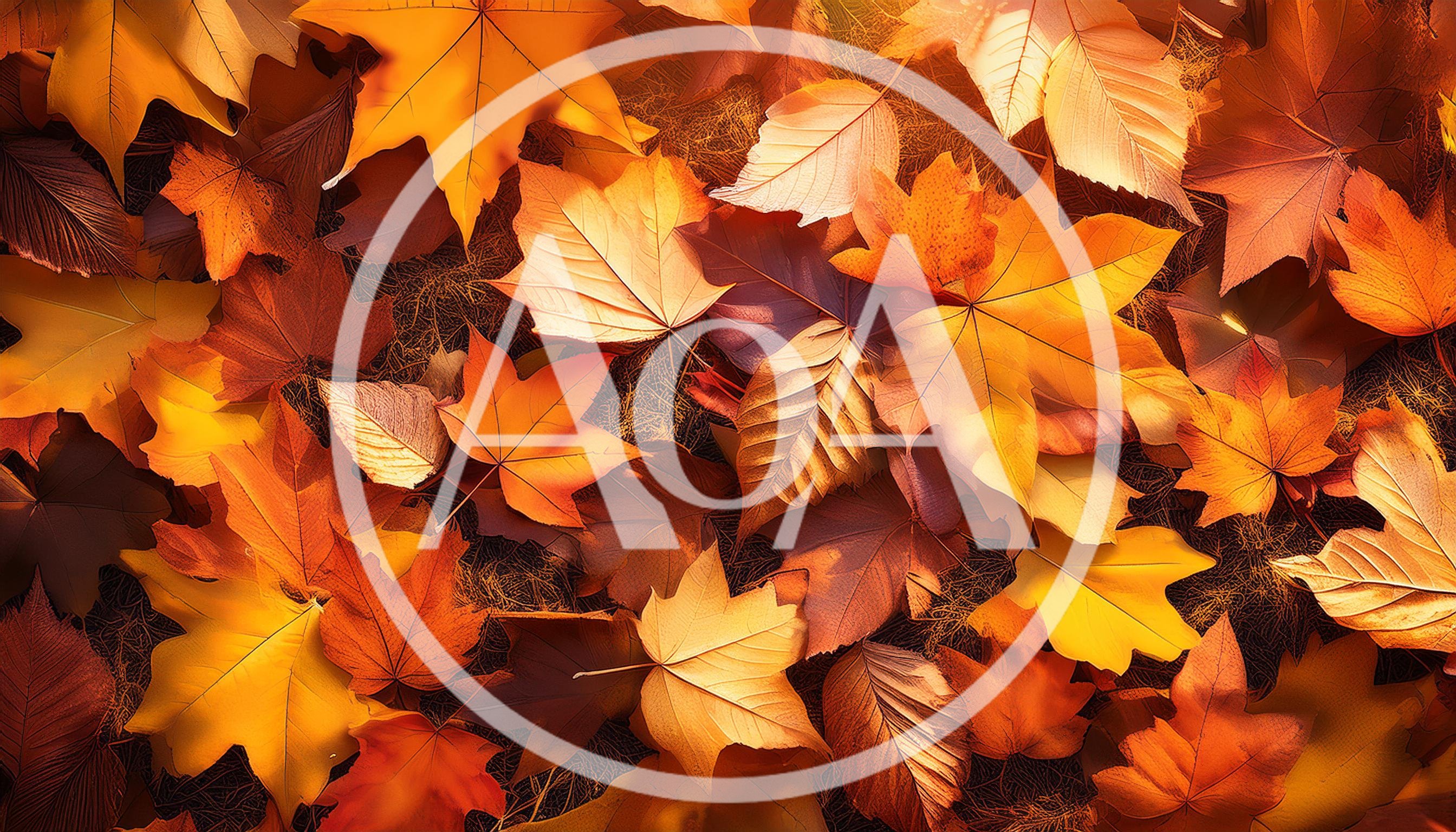 Vibrant Autumn Leaves Scattered On Forest Floor