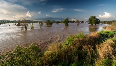 Flooded Landscape With Submerged Trees And Brown River Water