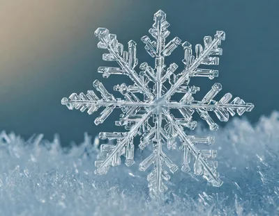 Macro Close Up Of A Single Intricate Snowflake