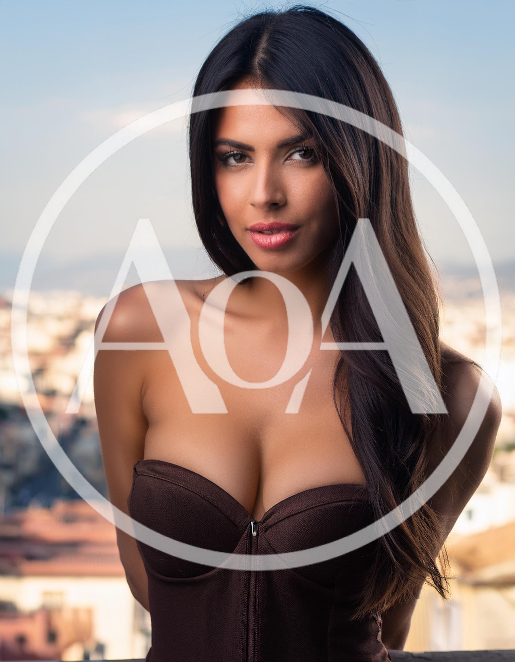 Portrait Of A Beautiful Woman In A Brown Corset