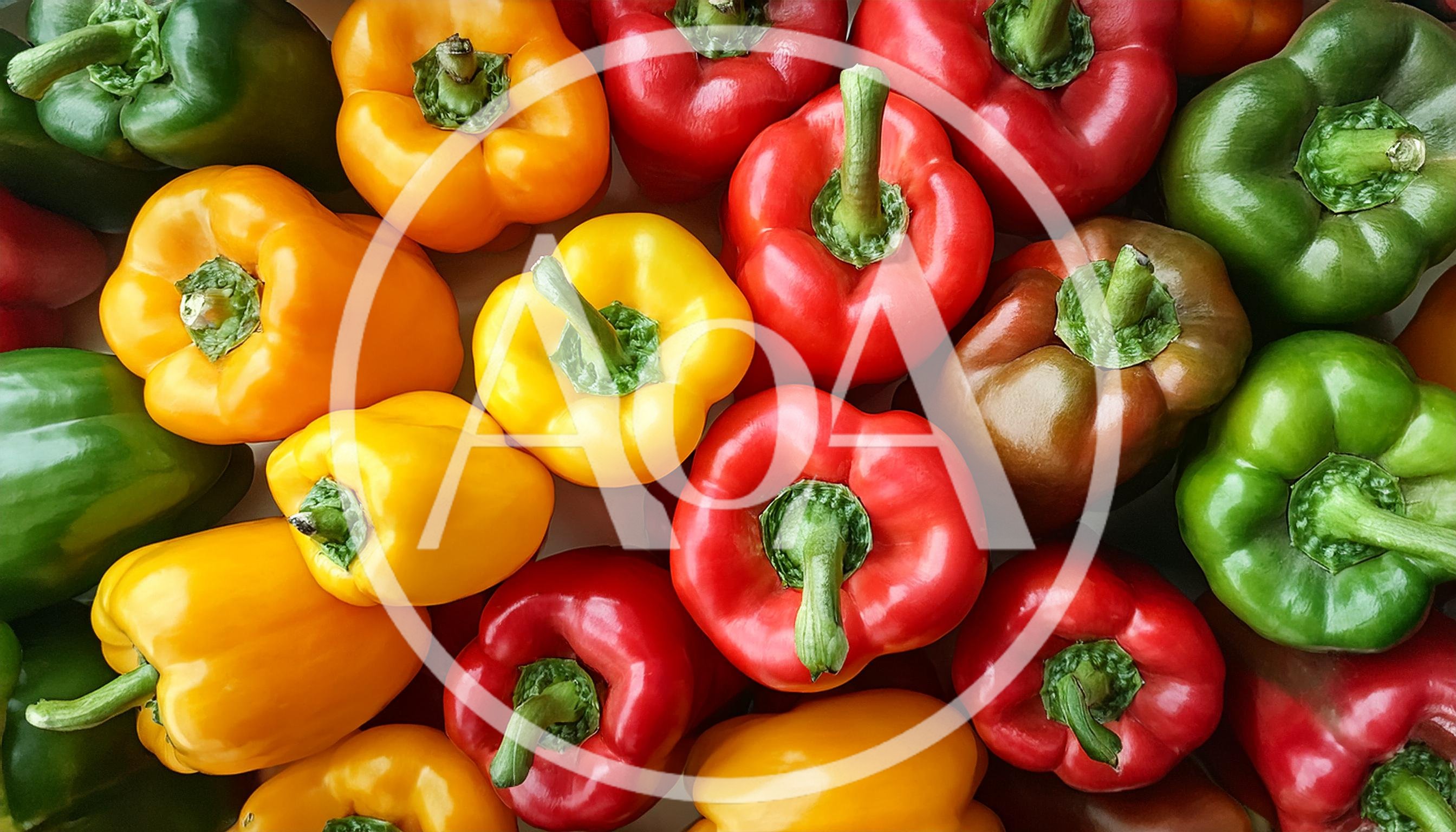 Top View Of Colorful Fresh Bell Peppers