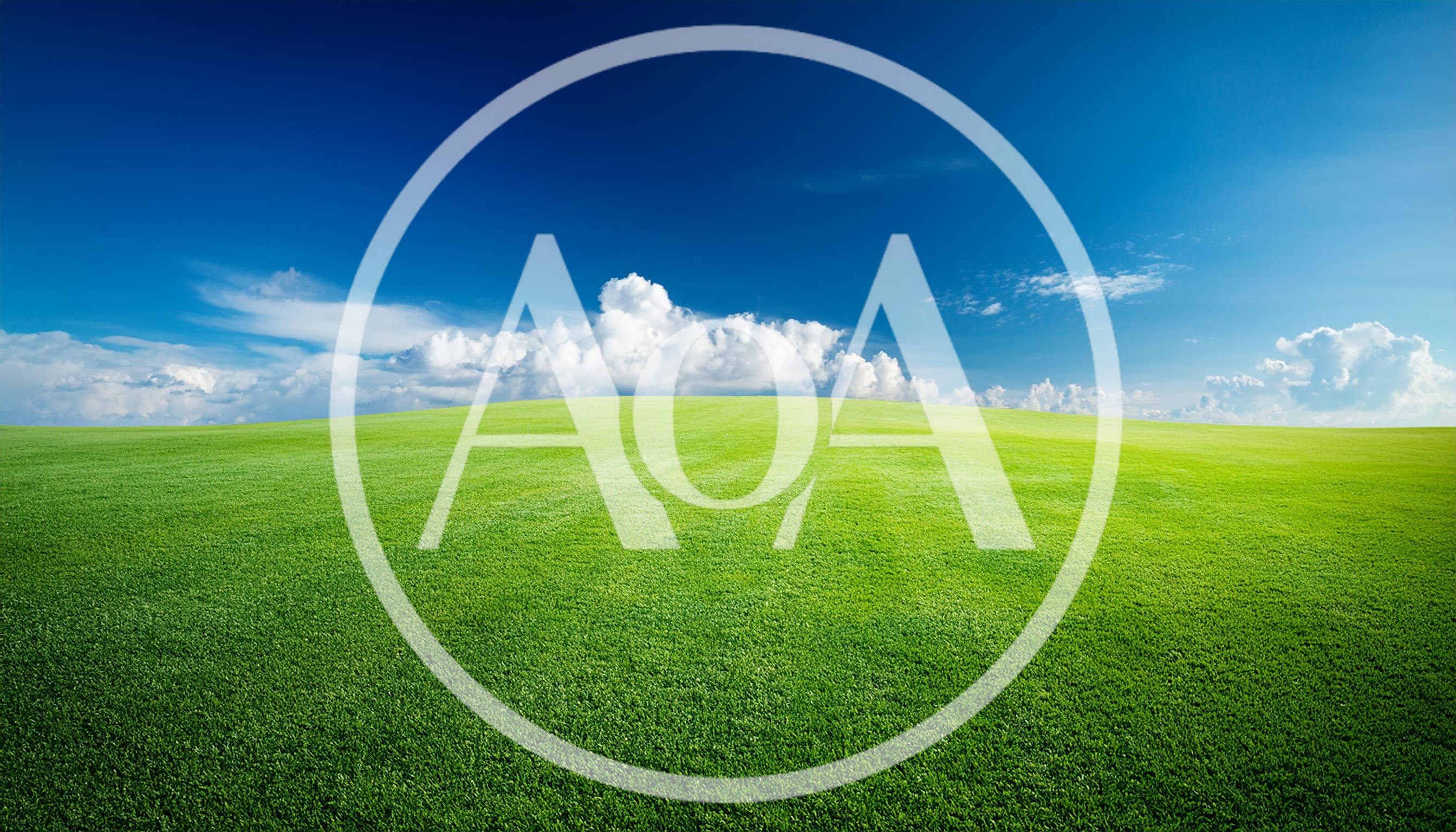 Vast Green Grass Field Under Blue Sky