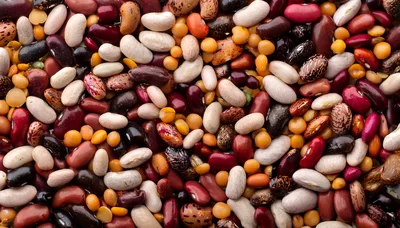 Assorted Dried Beans and Legumes Mix