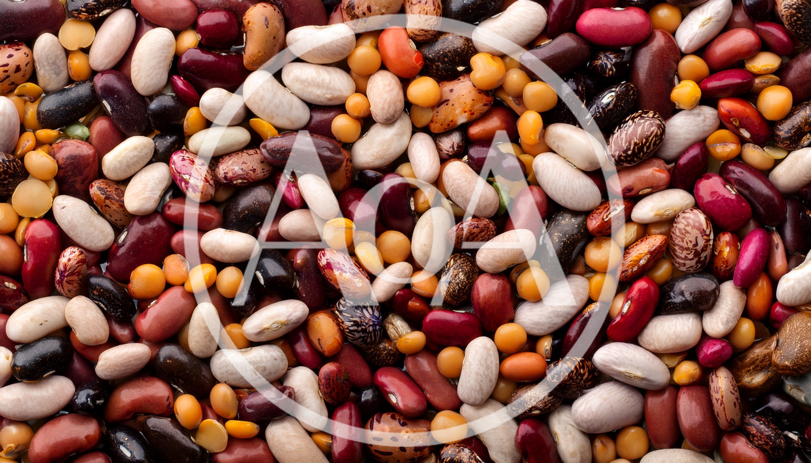 Assorted Dried Beans and Legumes Mix