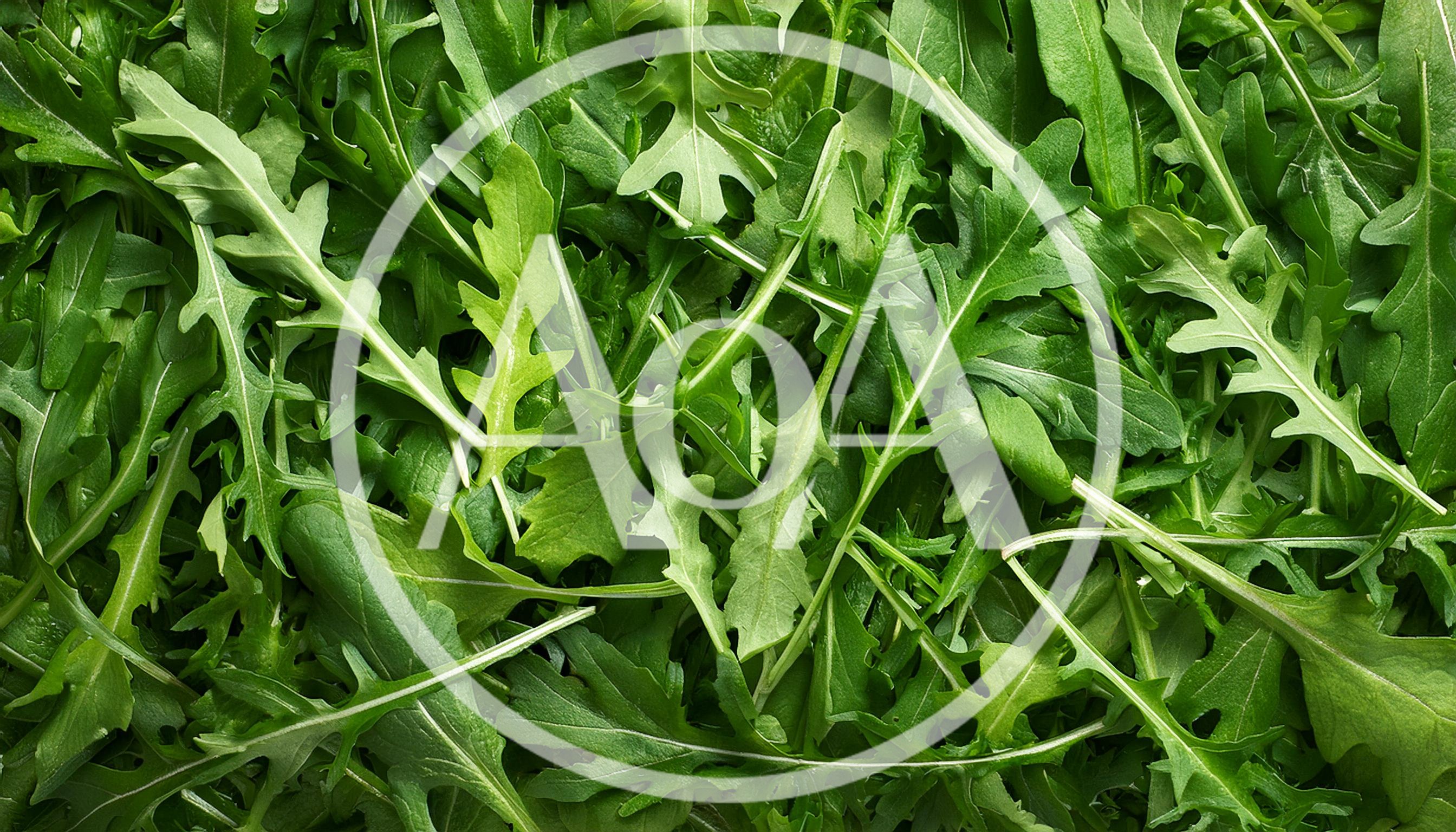 Fresh Green Arugula Leaves Background