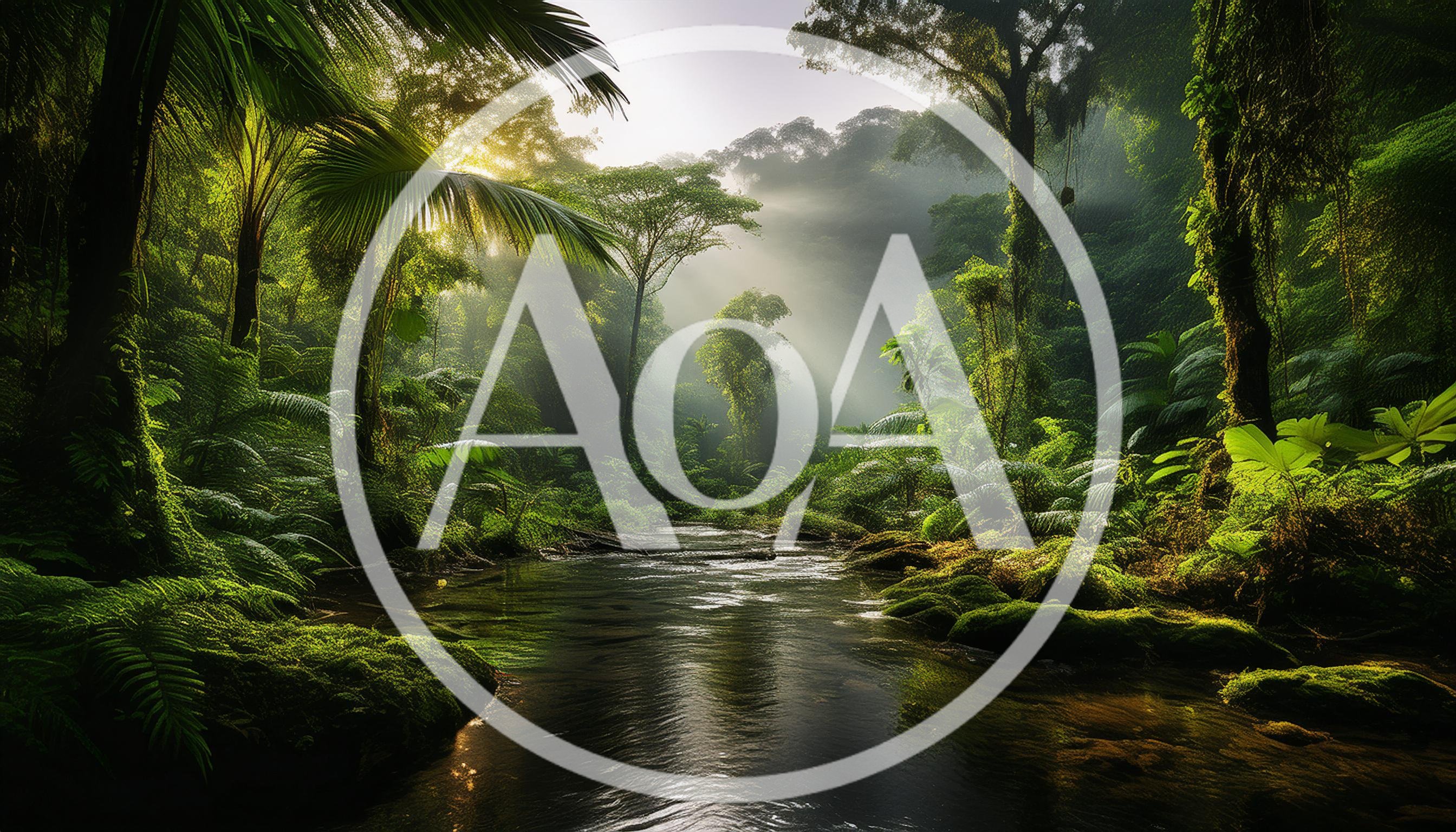 Sunlit Tropical Rainforest River Scene