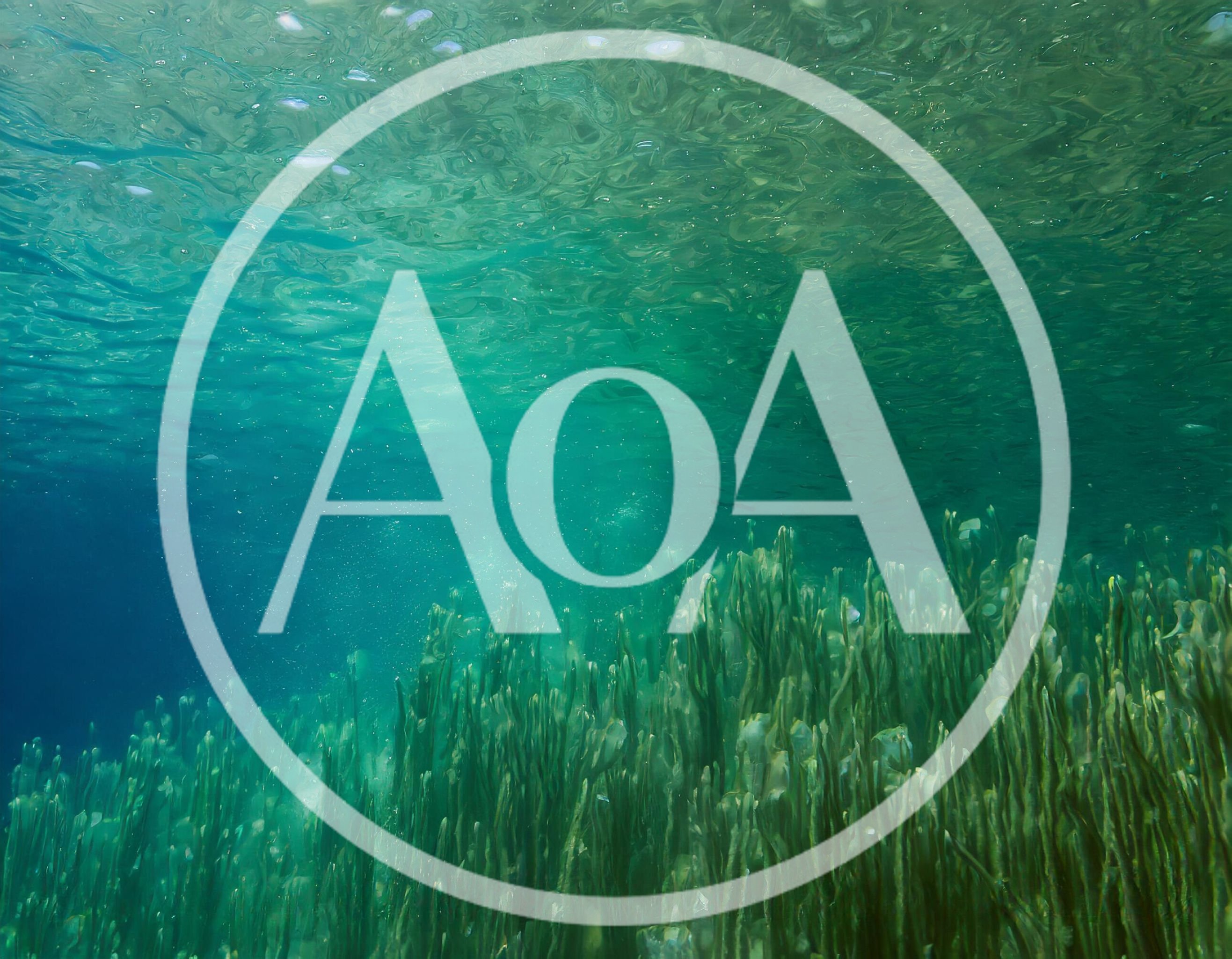 Underwater View Of Aquatic Plants In Clear Water