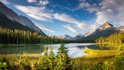Scenic Mountain Lake Landscape With Pine Forest Reflection
