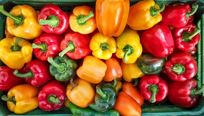 Fresh Colorful Bell Peppers In A Green Crate