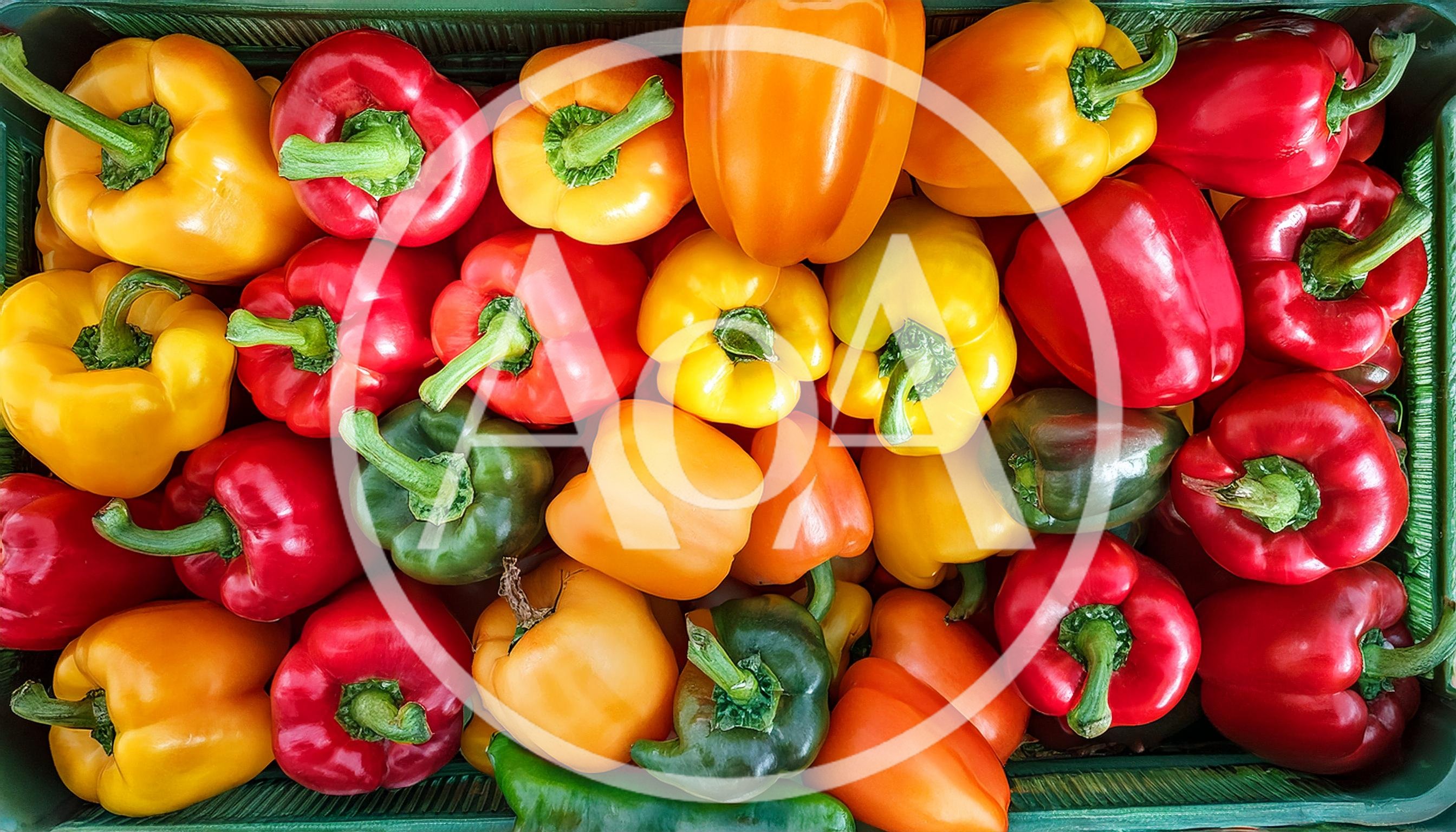 Fresh Colorful Bell Peppers In A Green Crate