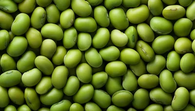 Fresh Green Edamame Soybeans Background