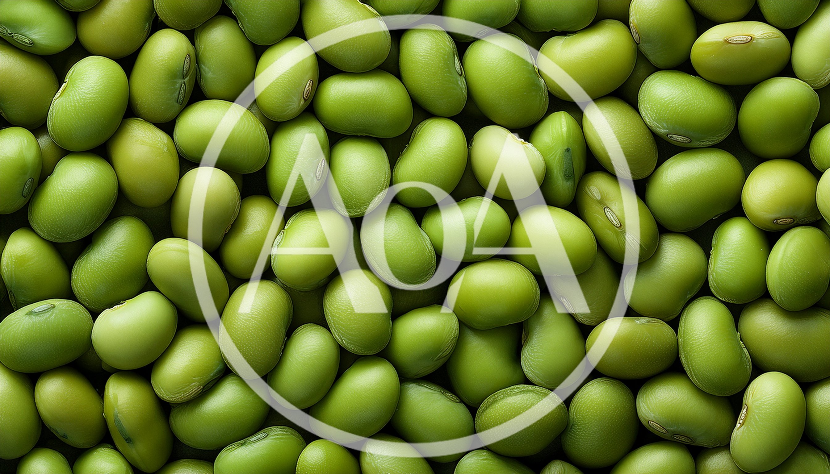 Fresh Green Edamame Soybeans Background