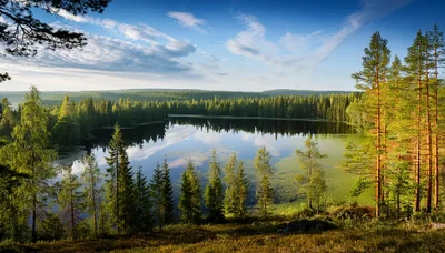 Serene Forest Lake Landscape Under Blue Sky