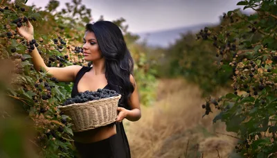 Beautiful Woman Harvesting Fresh Blackberries In A Sunny Field