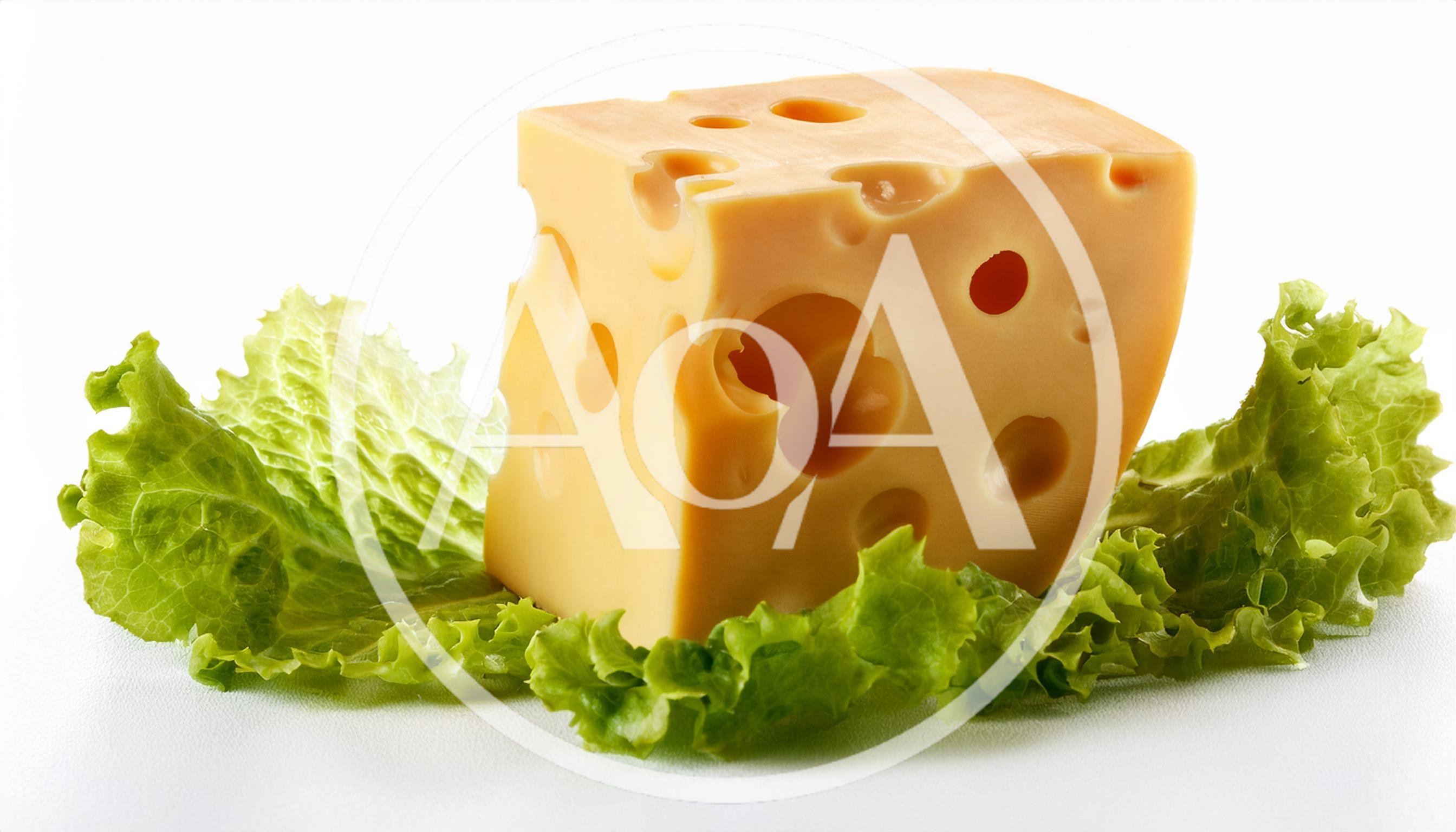 Block Of Swiss Cheese On Fresh Green Lettuce