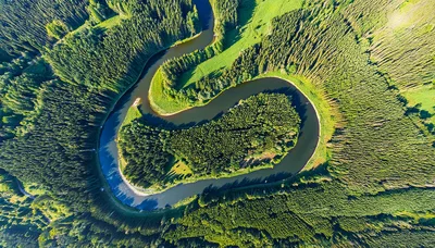 Aerial View Of A Meandering River Through Dense Forest